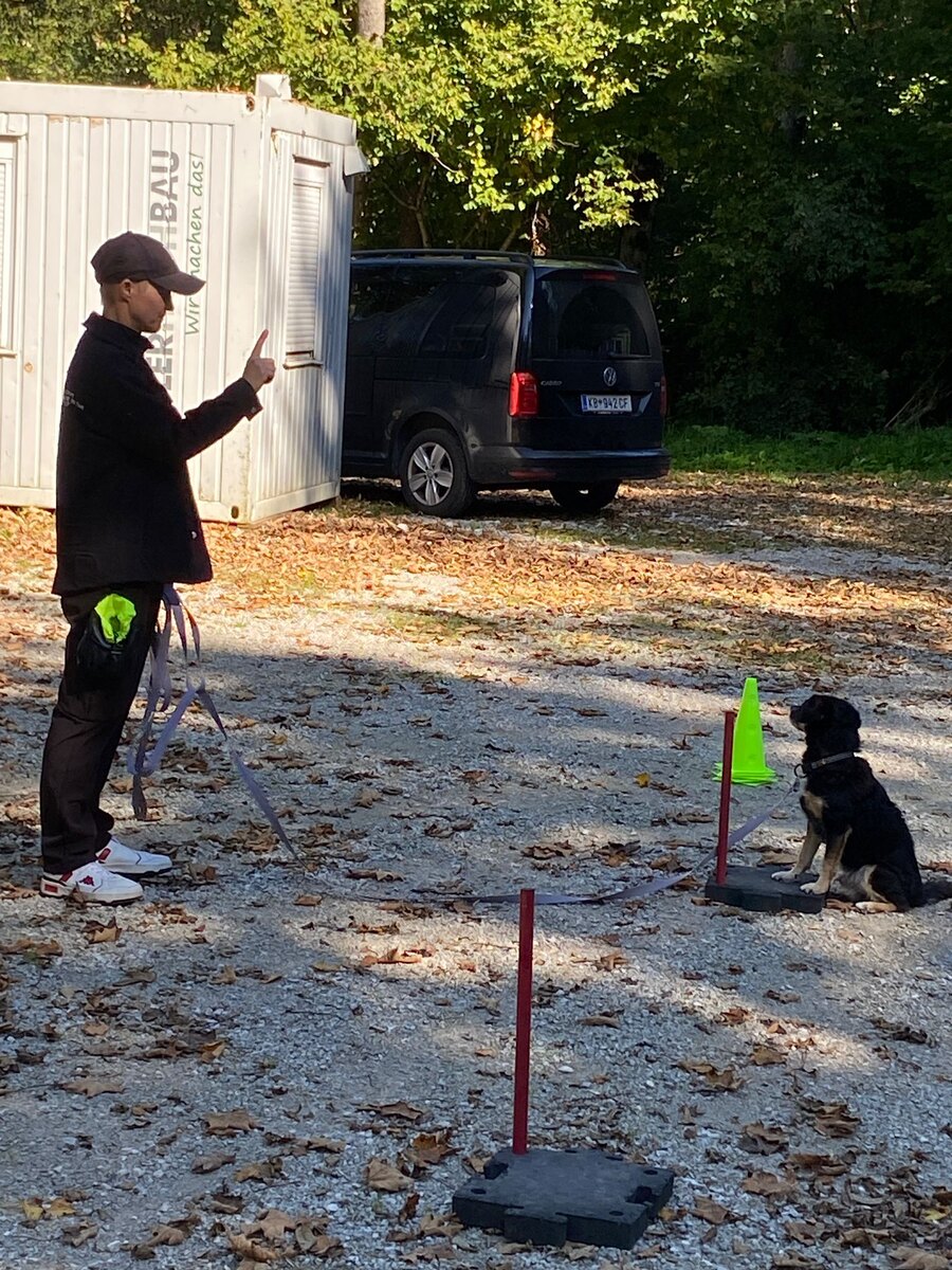 Britta beim Training mit Hund